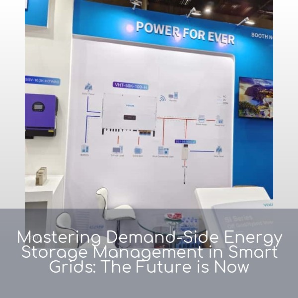 Mastering Demand-Side Energy Storage Management in Smart Grids: The Future is Now